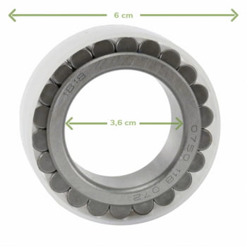 Rolamento planetária tração ZF 3176341M1 0750118072